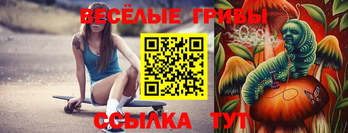 Галлюциногенные грибы мицелий  Вход с VPN  Магадан 